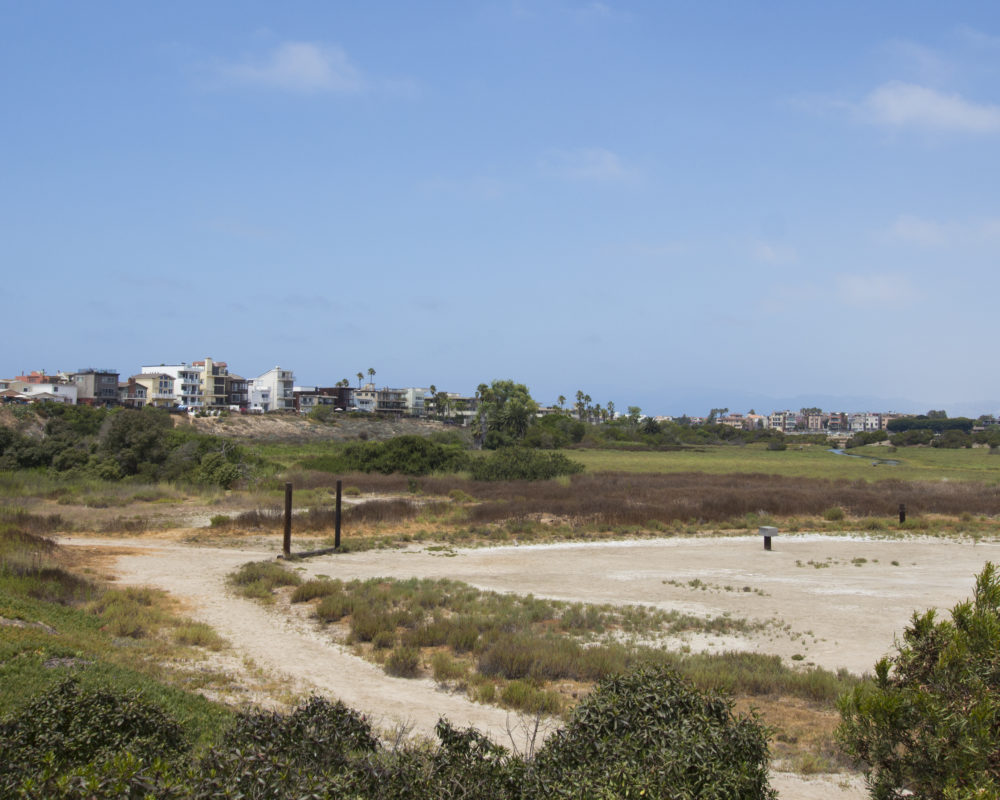 View of Ballona Wetlands from Offices at the Beach